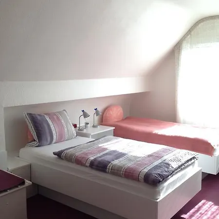 Guest house Airminis